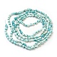 Spiral Shell Beads Strands(BSHE-L037-09)-3