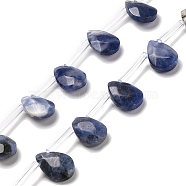Natural Sodalite Beads Strands, Faceted, Teardrop, Top Drilled, 12x8x3.5mm, Hole: 0.9mm, about 28pcs/strand, 13.78''(35cm)(G-Q167-A08-01)