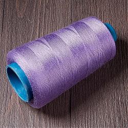Polyester Thread, Medium Slate Blue, 0.28mm, about 1749.78 yards(1600m)/roll(OCOR-WH0001-09)