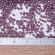 Perles miyuki delica petites(SEED-X0054-DBS0265)-4