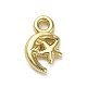 Alloy Pendants(X1-FIND-A051-02B-G)-1