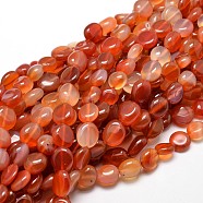 Dyed Natural Carnelian Nuggets Beads Strands, Tumbled Stone, 4~8x6~9x5~7mm, Hole: 1mm, about 15.3 inch~15.7 inch(G-J336-19)