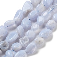 Natural Blue Lace Agate Beads Strands, Nuggets, Tumbled Stone, 9~12.5x8~9.5x4.5~7.5mm, Hole: 0.8mm, about 39~40pcs/strand, 15.94''(40.5cm)(G-K379-A01-01)