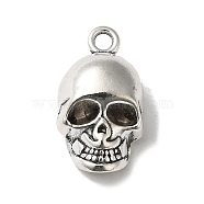 Tibetan Style Alloy Pendants, Skull Charm, Antique Silver, 20x11x8mm, Hole: 2.2mm(TIBE-P002-03AS)