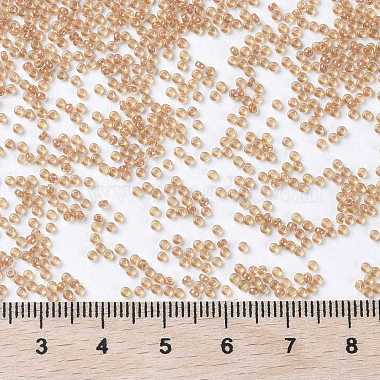 Perles rocailles miyuki rondes(X-SEED-G009-RR3733)-4