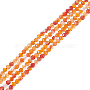2 Strands Natural Carnelian Beads Strands, Faceted Round, 3mm, Hole: 0.8mm, about 130pcs/strand, 15.20''(38.6cm)(G-NB0004-20)