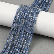 Natural Kyanite Beads Strands, Grade A, Faceted Table Cut Cube, 3x3~3.5x3.5mm, Hole: 0.7mm, about 123pcs/strand, 14.53''(36.9cm)(G-B088-E24-03A)