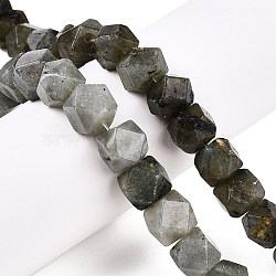 Natural Labradorite Beads Strands, Faceted Cube, 10~11x10~11x10~11mm, Hole: 0.8mm, about 20pcs/strand, 8.03''(20.4cm)(G-T138-37)