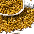 Baking Paint Glass Seed Beads, Bicone, Gold, 4.5x4mm, Hole: 1.1mm, about 142pcs/10g(X1-SEED-A032-02A-14)