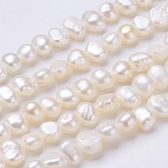 Natural Cultured Freshwater Pearl Beads Strands, Nuggets, Seashell Color, 7~8x6~7x5~6mm, Hole: 0.5mm, about 55~56pcs/strand, 13.39 inch(34cm)(PEAR-P002-42)