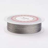 Steel Wire, Silver, Stainless Steel Color, 0.25mm(TWIR-E001-0.25mm)