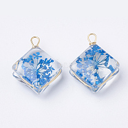 Glass Pendants, with Dried Flower Inside & Brass Findings, Rhombus, Golden, Dodger Blue, 21~22x16x9mm, Hole: 2mm(GLAA-Q070-006A)