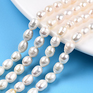 Natural Cultured Freshwater Pearl Beads Strands, Rice, Seashell Color, 6~7.5x5~6mm, Hole: 0.7mm, about 43pcs/strand, 13.19~13.39 inch(33.5~34cm)(PEAR-N012-05K)
