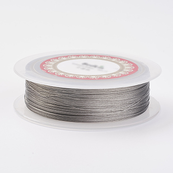 Steel Wire, Silver, Stainless Steel Color, 0.25mm