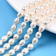 Natural Cultured Freshwater Pearl Beads Strands(PEAR-N012-05K)-1