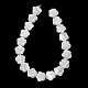 Natural Trochid Shell/Trochus Shell Beads Strands(SH-CBA2978-08)-3