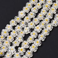 Handmade Millefiori Glass Bead Strands, Flower, Clear, 10~12x2.6mm, Hole: 1mm, about 42pcs/strand, 15.75''(40cm)(LAMP-J035-10mm-48)