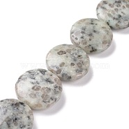 Natural Sesame Jasper/Kiwi Jasper Beads Strands, Flat Round, 31~32x11mm, Hole: 1.4mm, about 13pcs/strand, 15.94''(40.5cm)(G-P469-03)