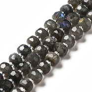 Natural Labradorite Beads Strands, with Seed Beads, Faceted, Rondelle, 8x6mm, Hole: 1~1.2mm, about 20~22pcs/strand, 7.09~7.48 inch(18~19cm)(G-G980-03)