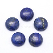 Natural Lapis Lazuli Cabochons, Half Round, Dyed, 12x5~6mm(G-P393-R11-12mm)