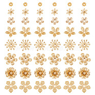 64Pcs 8 Styles Brass Bead Caps, Flower, Golden, 5~15x5~13.5x1~5mm, hole: 0.9~1.5mm(KK-AR0003-57)