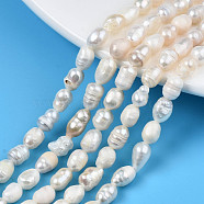 Natural Cultured Freshwater Pearl Beads Strands, Rice, Seashell Color, 5~11.5x4.5~6mm, Hole: 0.7mm, about 50~53pcs/strand, 13.70 inch~13.94 inch(34.8cm~35.4cm)(X-PEAR-N012-05F)