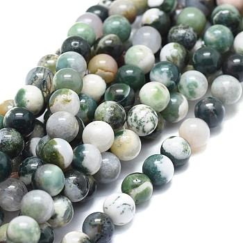 Natural Tree Agate Beads Strands, Round, 8mm, Hole: 1mm, about 49pcs/strand, 15.75 inch(40cm)