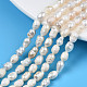 Natural Cultured Freshwater Pearl Beads Strands(X-PEAR-N012-05F)-1