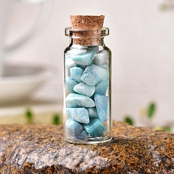 Glass Wishing Bottles, Reiki Natural Amazonite Drift Chip Beads inside for DIY Jewelry Making Home Decoration, 22x30mm(PW-WG27717-12)