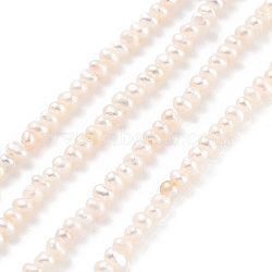 Natural Cultured Freshwater Pearl Beads Strands, Potato, PeachPuff, 1.5~2mm, Hole: 0.3mm, about 95~111pcs/strand, 6.89~7.48 inch(17.5~19cm)
(PEAR-C003-02B)