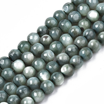 Natural Freshwater Shell Beads Strands, Dyed, Round, Cadet Blue, 4mm, Hole: 0.8mm, about 97~99pcs/strand, 14.88 inch~15.16 inch(37.8~38.5cm)