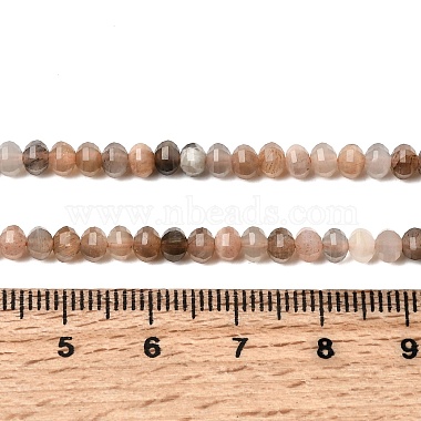 ナチュラルブラックムーンストーンビーズストランド(G-K376-I05-3x4mm)-5