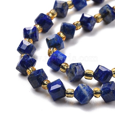 Natural Lapis Lazuli Beads Strands(G-P463-25)-4