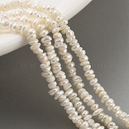 Natural Keshi Pearl Cultured Freshwater Pearl Beads Strands, Baroque Pearls, Grade 4A, Nuggets, Antique White, 2.5~3mm, Hole: 0.3mm, about 129pcs/strand, 7.09 inch(18cm)(PEAR-C003-38)