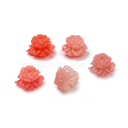 Shell Beads, Imitation Jade, Dyed, Curved, Flower, Light Coral, 13x13x9.5mm, Hole: 1.8mm(X-CORA-D032-16)