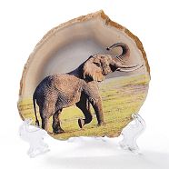 Printed Natural Agate Slice Stone Ornament, for Good Luck Home Office Decor, Elephant, 125~135x95~135x6.5~9mm(DJEW-M011-03I)