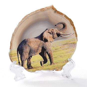 Printed Natural Agate Slice Stone Ornament, for Good Luck Home Office Decor, Elephant, 125~135x95~135x6.5~9mm