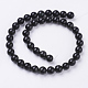 Natural Obsidian Beads Strands(X-G-G099-10mm-24)-2