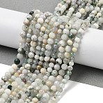 Natural Tree Agate Beads Strands, Faceted, Round, 3.5~4.5mm, Hole: 0.5mm, about 91~92pcs/strand, 15.55''(39.5cm)(G-RM250104-D6)
