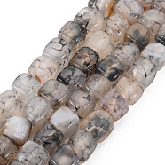 Natural Agate Beads Strands, Dyed & Heated, Cube, Dark Gray, 5~8x4~8x4~6mm, Hole: 1.2mm, about 50pcs/strand, 14.76 inch(37.5cm)(G-N326-99F)