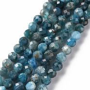 Natural Apatite Beads Strands, Round, Faceted, 4mm, Hole: 0.6mm, about 95~97pcs/strand, 15.35 inch(39cm)(G-S362-110C)