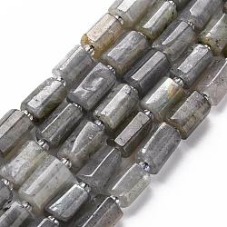 Natural Labradorite Beads Strands, Faceted, Column, 8~11x6~8x5~7mm, Hole: 1mm, about 15~17pcs/strand, 7.28~7.48 inch(X-G-S345-8x11-001)