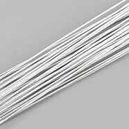 Iron Wire, WhiteSmoke, 22 Gauge, 0.6mm, 60cm/strand, about 50strand/bag(X-MW-S002-02F-0.6mm)