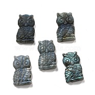 Natural Labradorite Cabochons, Owl, 43x26~27x10.5~15mm(G-G985-02)