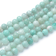 Natural Amazonite Beads Strands, Round, 6~6.5mm, Hole: 1mm, about 63pcs/strand, 15.5 inch(X-G-T055-6mm-17)