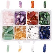 Natural Gemstone Chips Beads, Ruby in Zoisite/Citrine/Lapis Lazuli/Howlite/Amethyst/Carnelian/Green Aventurine/Rose Quartz, 11x7x3cm, about 25~27g/compartment(G-PH0034-20)