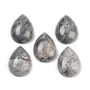 Natural Map Stone Cabochons, Teardrop, 20~20.5x15~15.5x6.5~7mm(G-H094-01A-34)