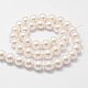 Chapelets de perles en coquille(X-BSHE-L026-03-6mm)-3