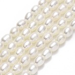 Natural Cultured Freshwater Pearl Beads Strands, Rice, Linen, 3.5~4.5x2.8~3.2mm, Hole: 0.6mm, about 101pcs/strand, 15.35''~15.55"(39~39.5cm)(PEAR-J006-03A)