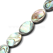 Natural Paua Shell Beads Strands, Oval, 14x10~10.5x3~3.5mm, Hole: 0.5mm, about 28pcs/strand, 16.02 inch(40.7cm)(SHEL-F006-06)